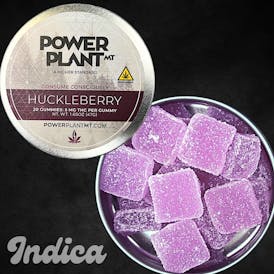 Power Plant Huckleberry Gummies - Indica