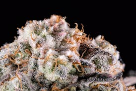 1/8 - Apple Fritter
