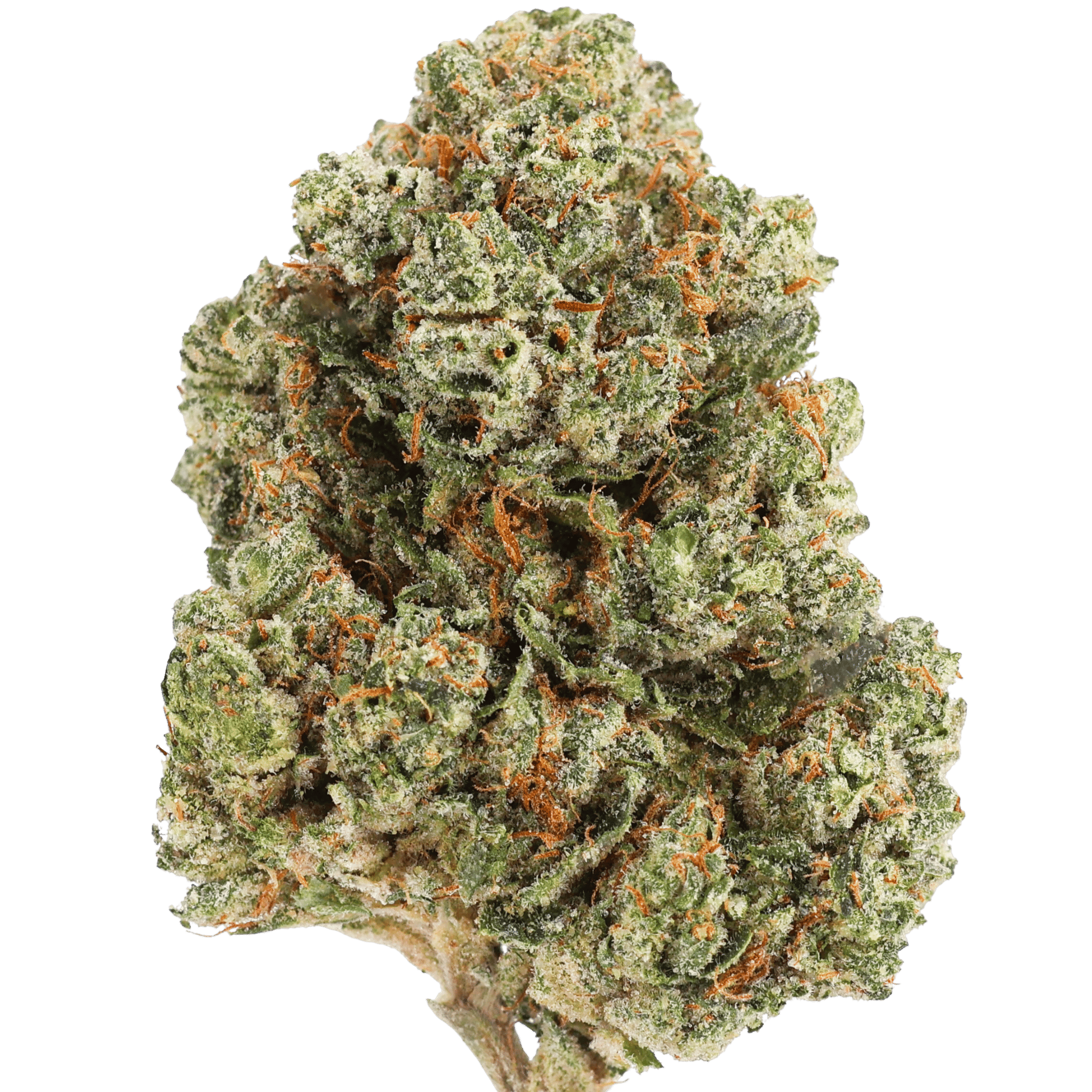 Tc - Platinum OG