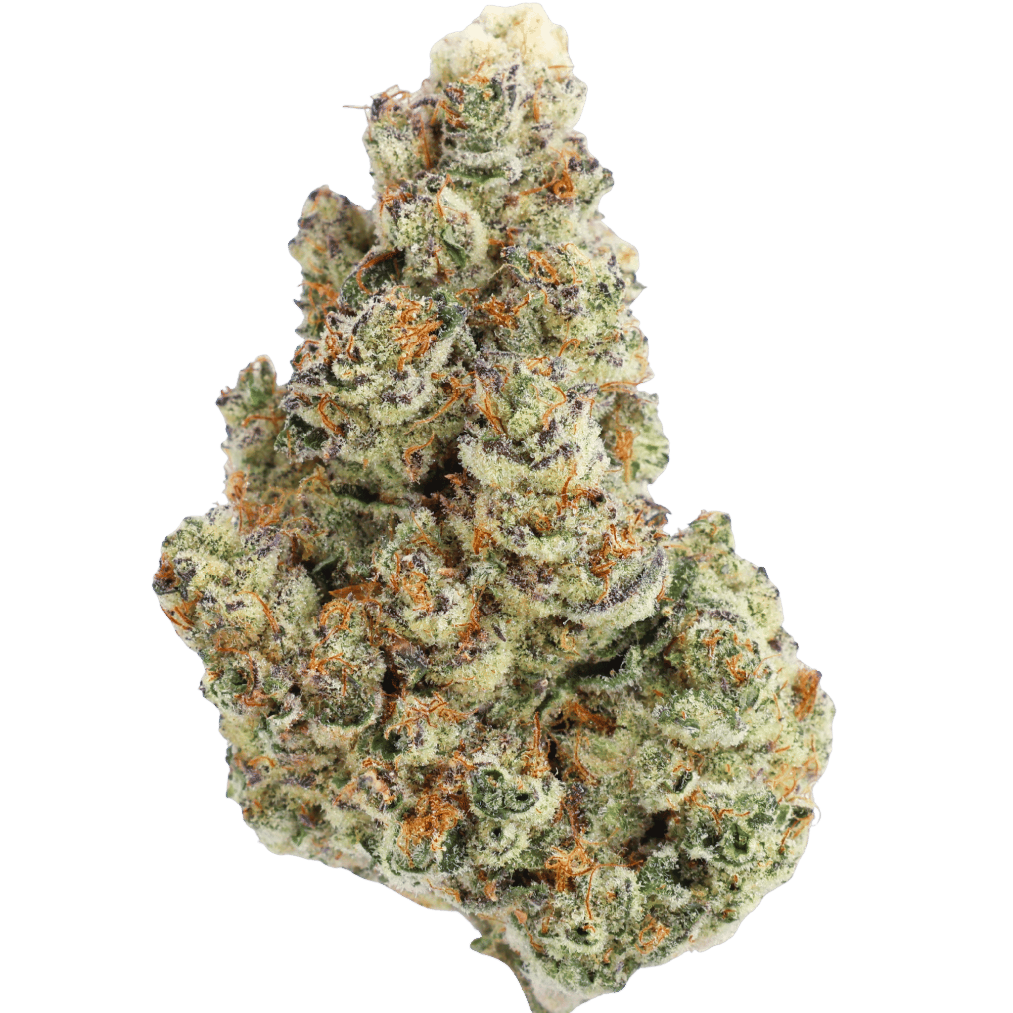 Wo - Golden Jack