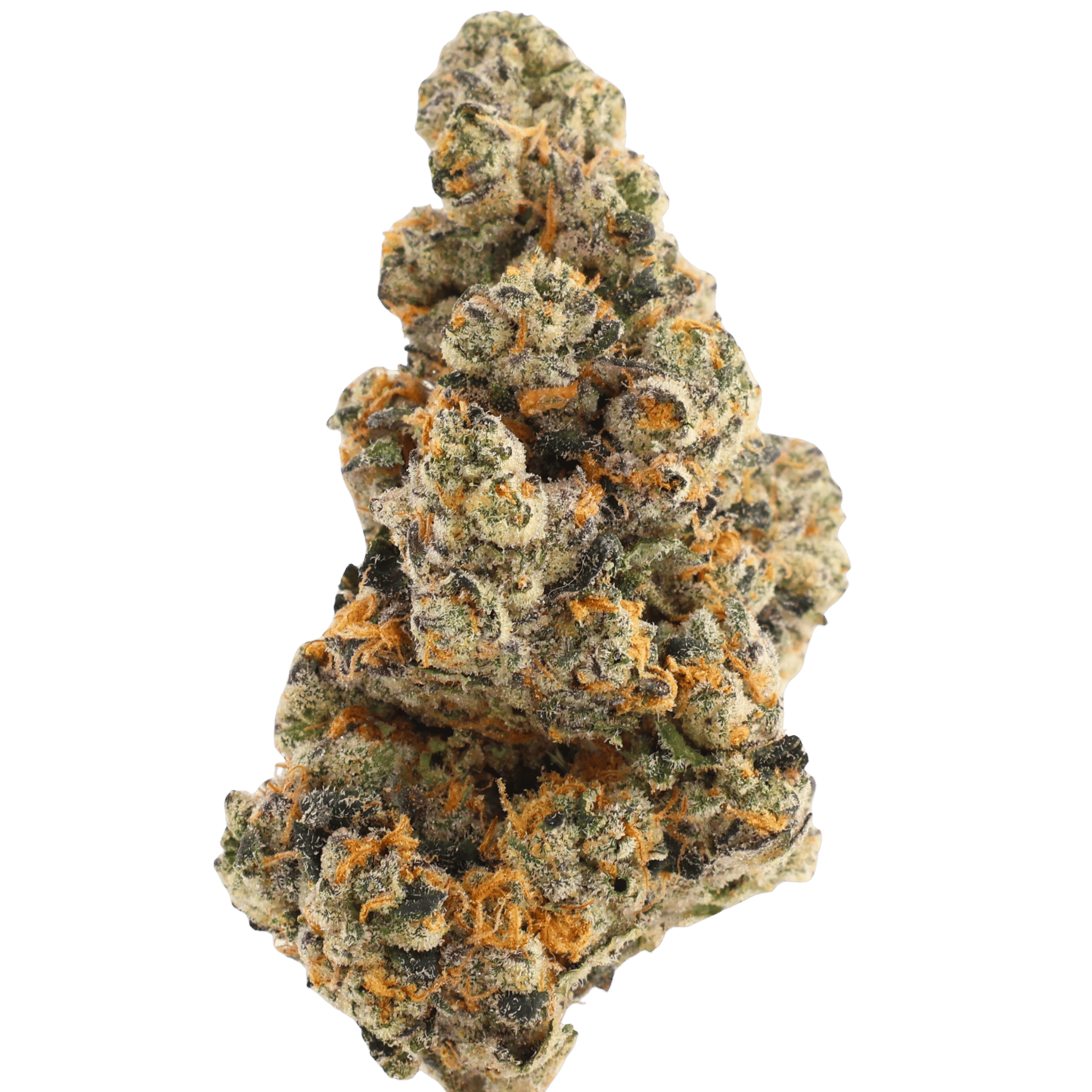 Gas Face