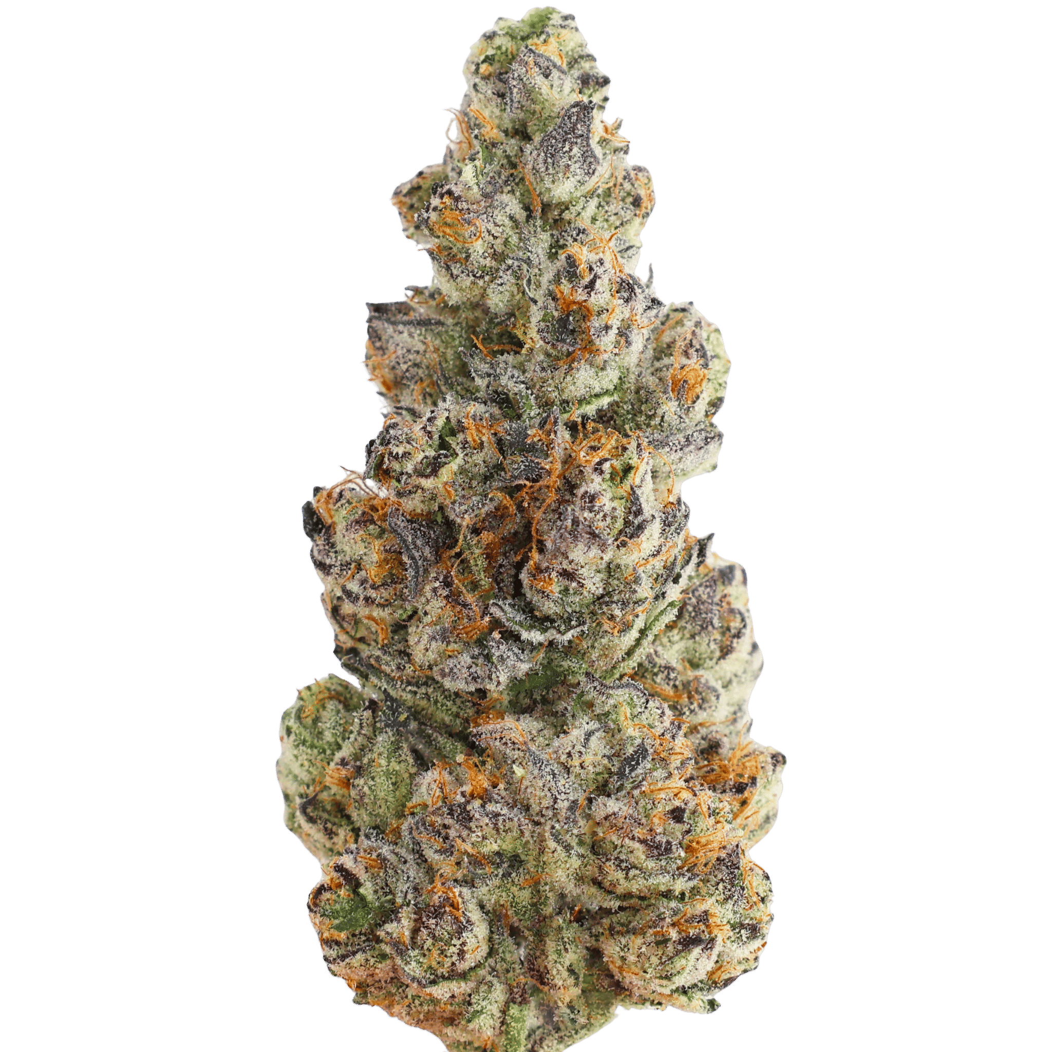 Mvn - Yoda OG
