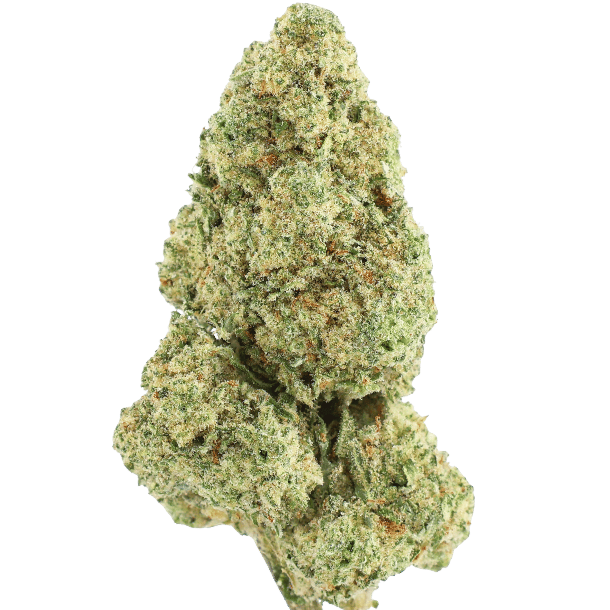 GSC - — Mango Guava