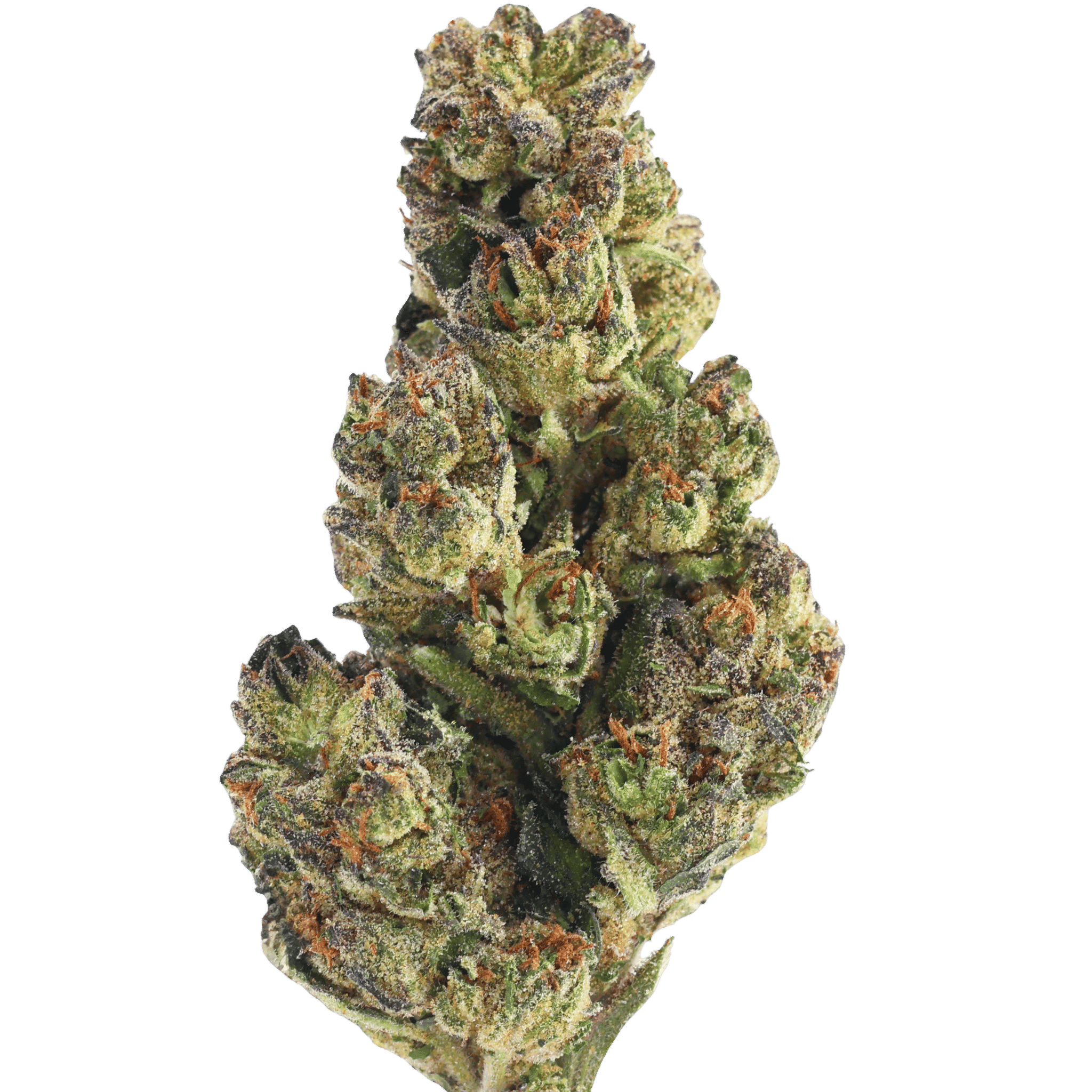 Ncwbi - Wedding Cake