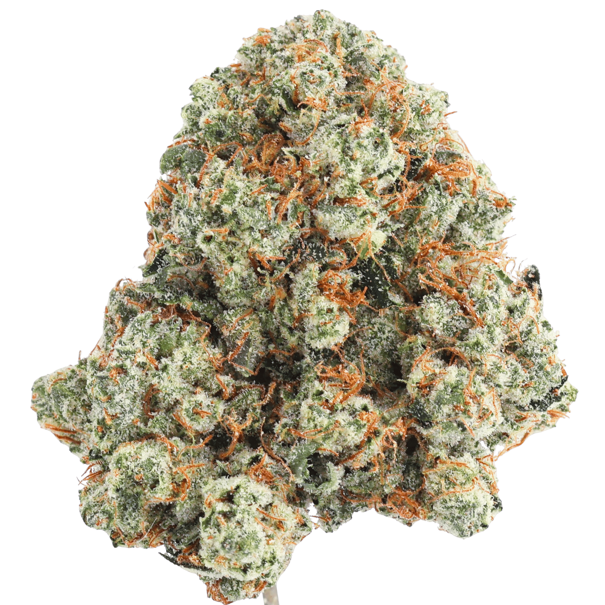 Jcr - Louis Xiii OG