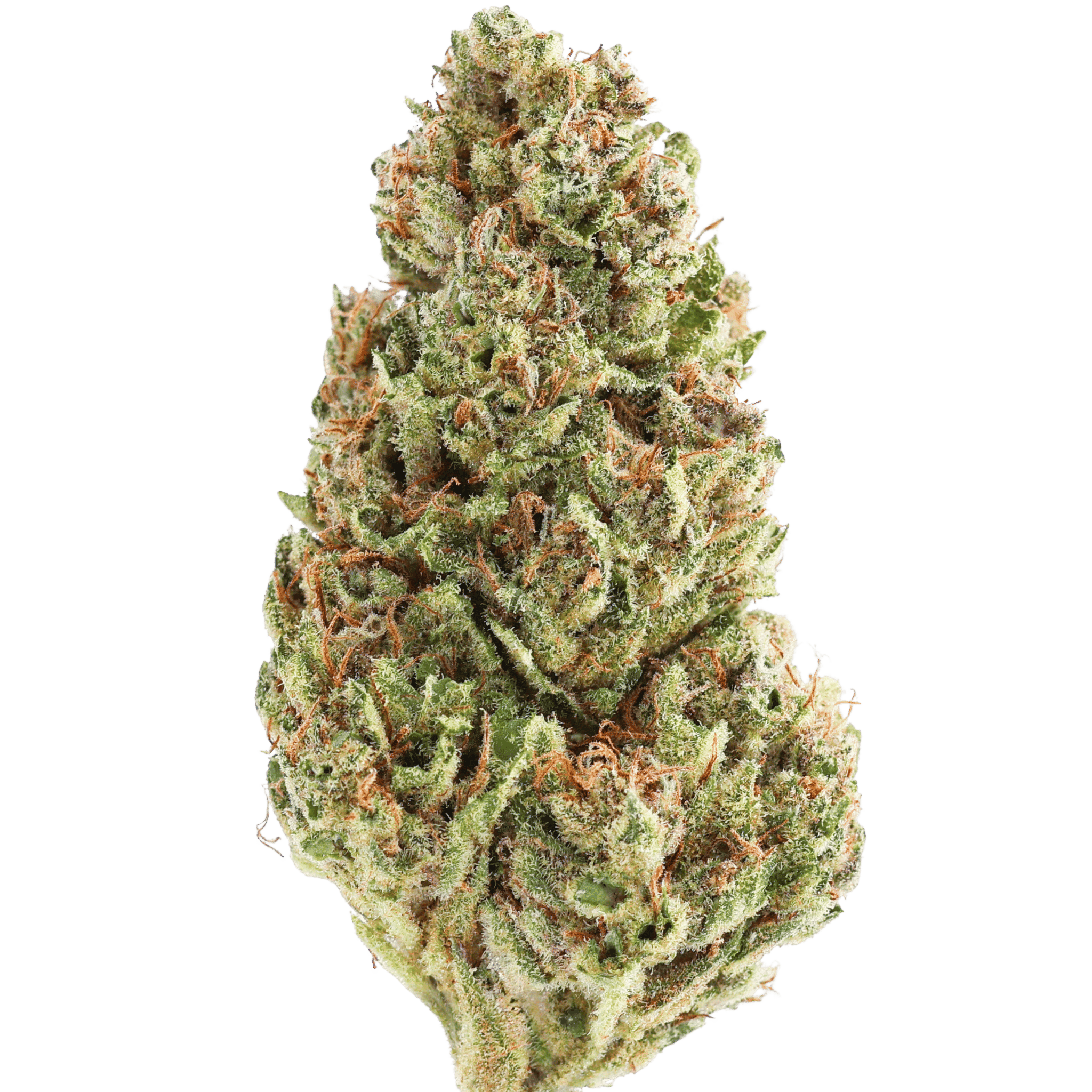 Mf - Super Sour Diesel