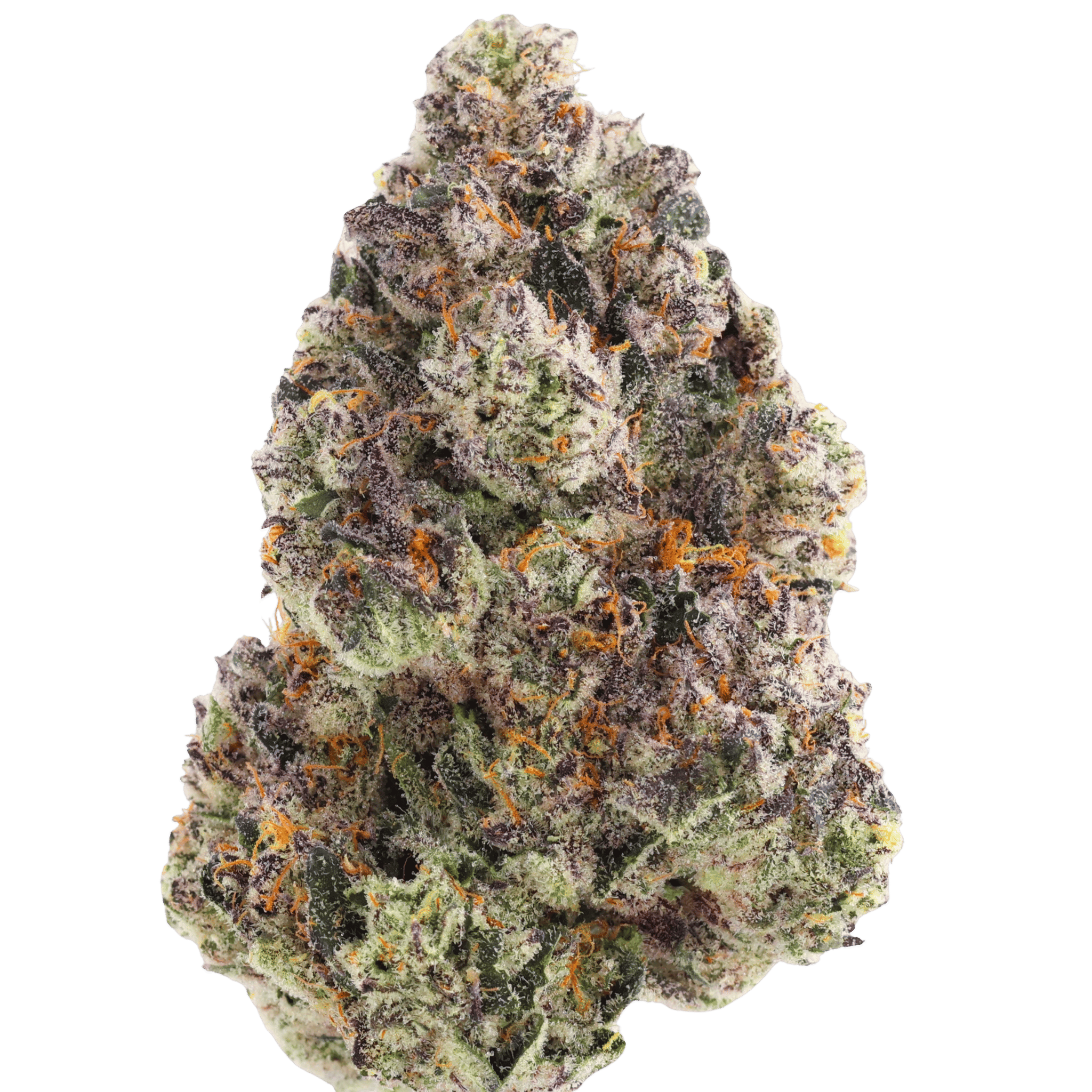 MVN: 98K OG