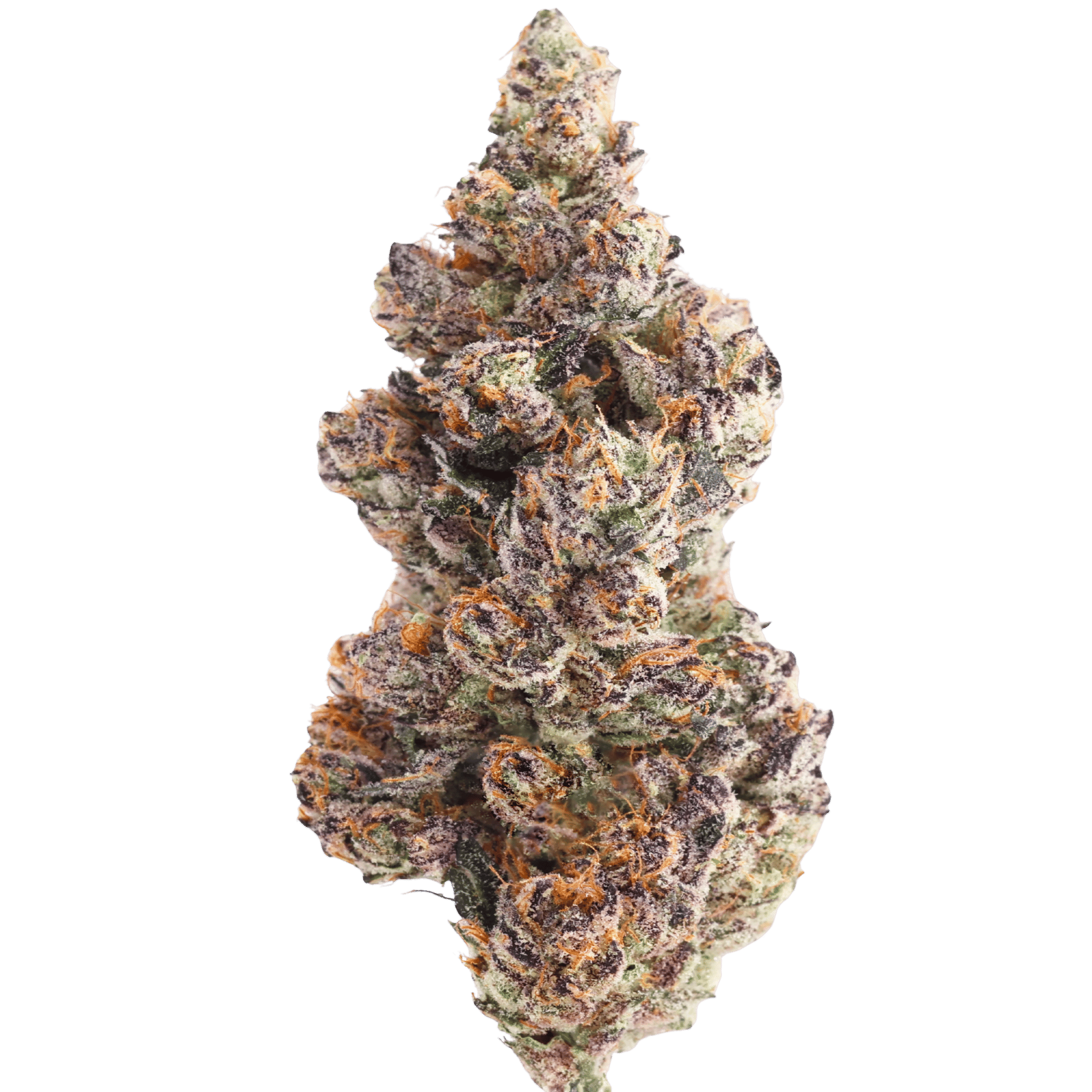 MVN: P - Super Yoda OG