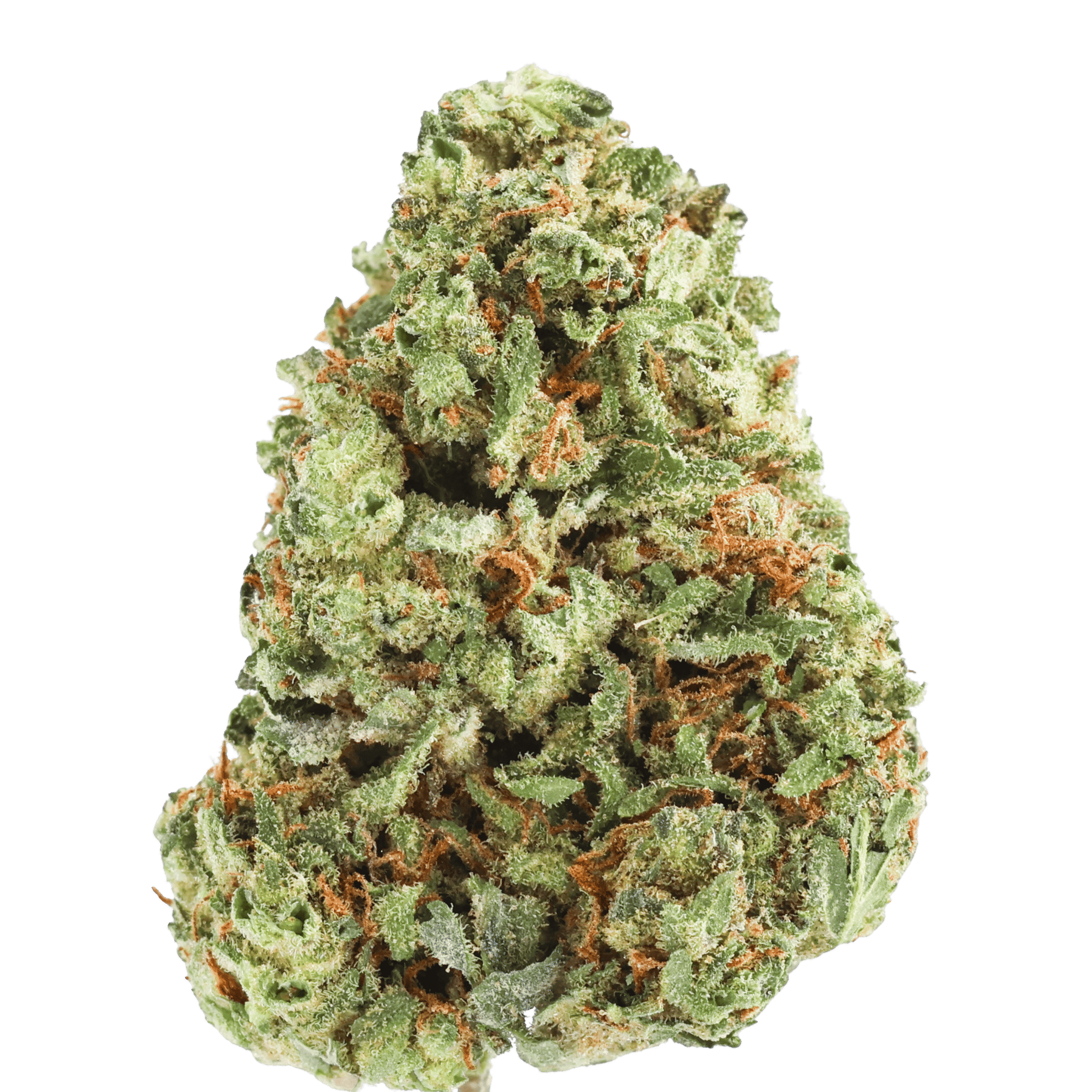 Ncwbi - Durban Poison