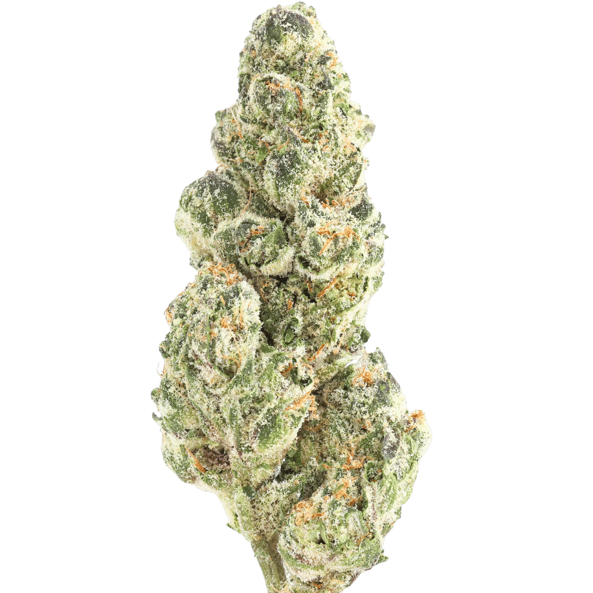 Hw - Galactic Gas