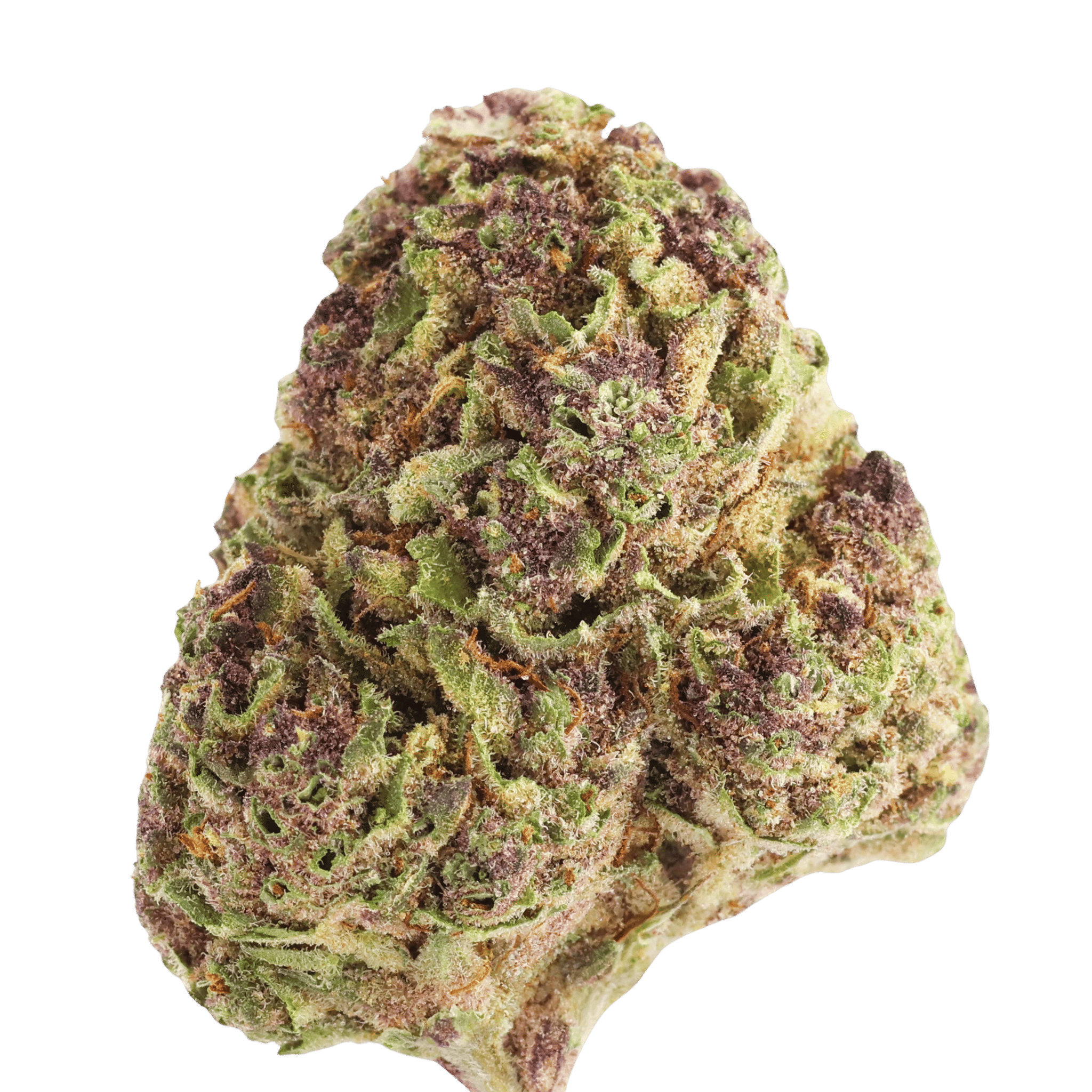 Qcsc G - Cherry Diesel