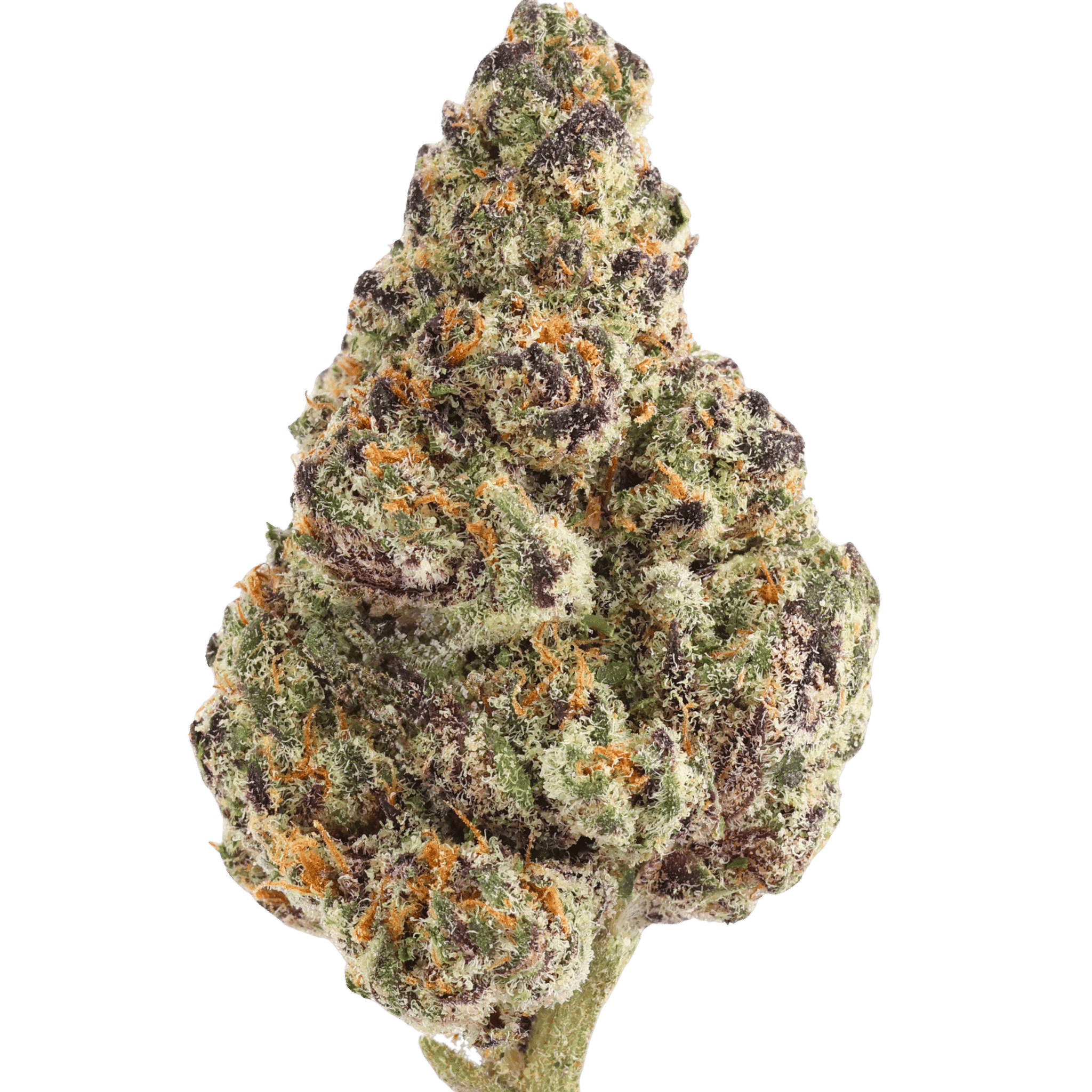 HW - SECRET SAUCE - 5 GRAMS
