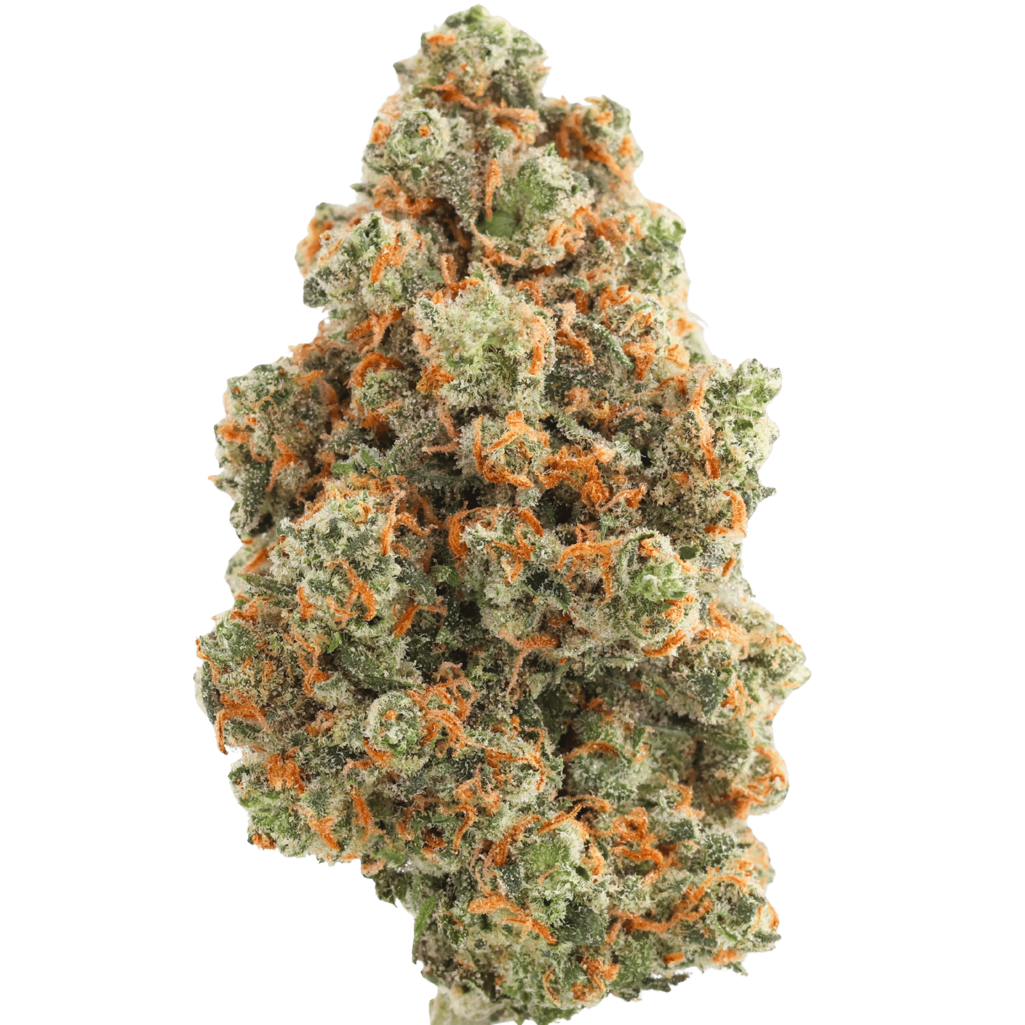 Knpl - Jack Herer