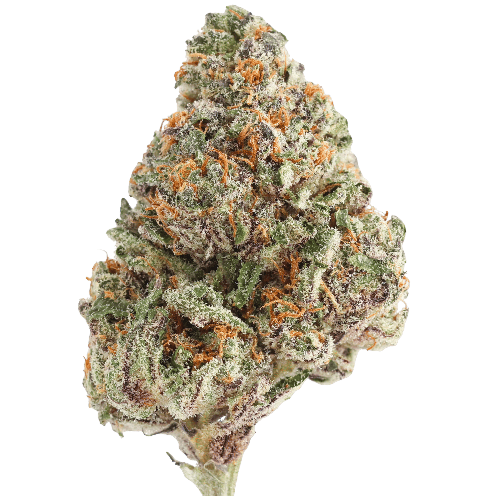 Vcf - Jealousy OG