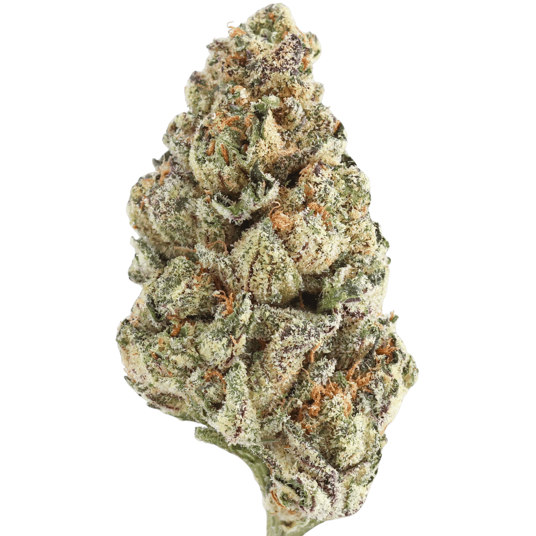 Vcf - Grape Ape