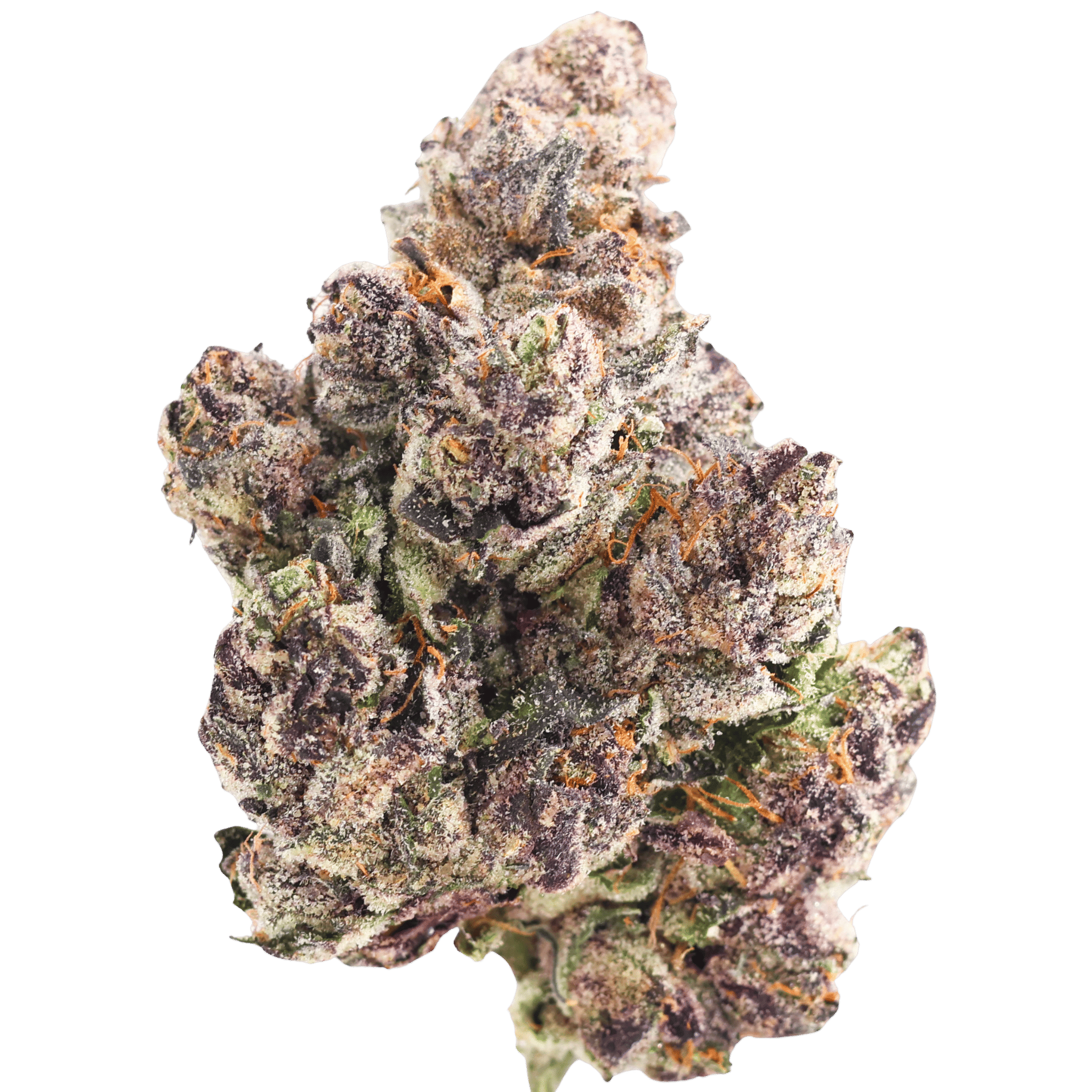 MVN: P - Lipstain OG
