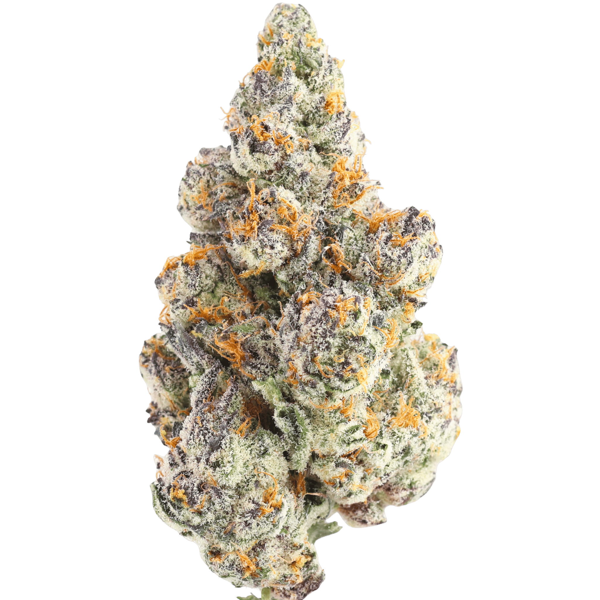 OXI - NEW MONEY - 2 GRAMS