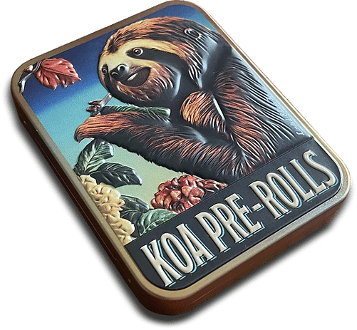 KOA - 10-PACK: Skywalker OG X Purple Punch