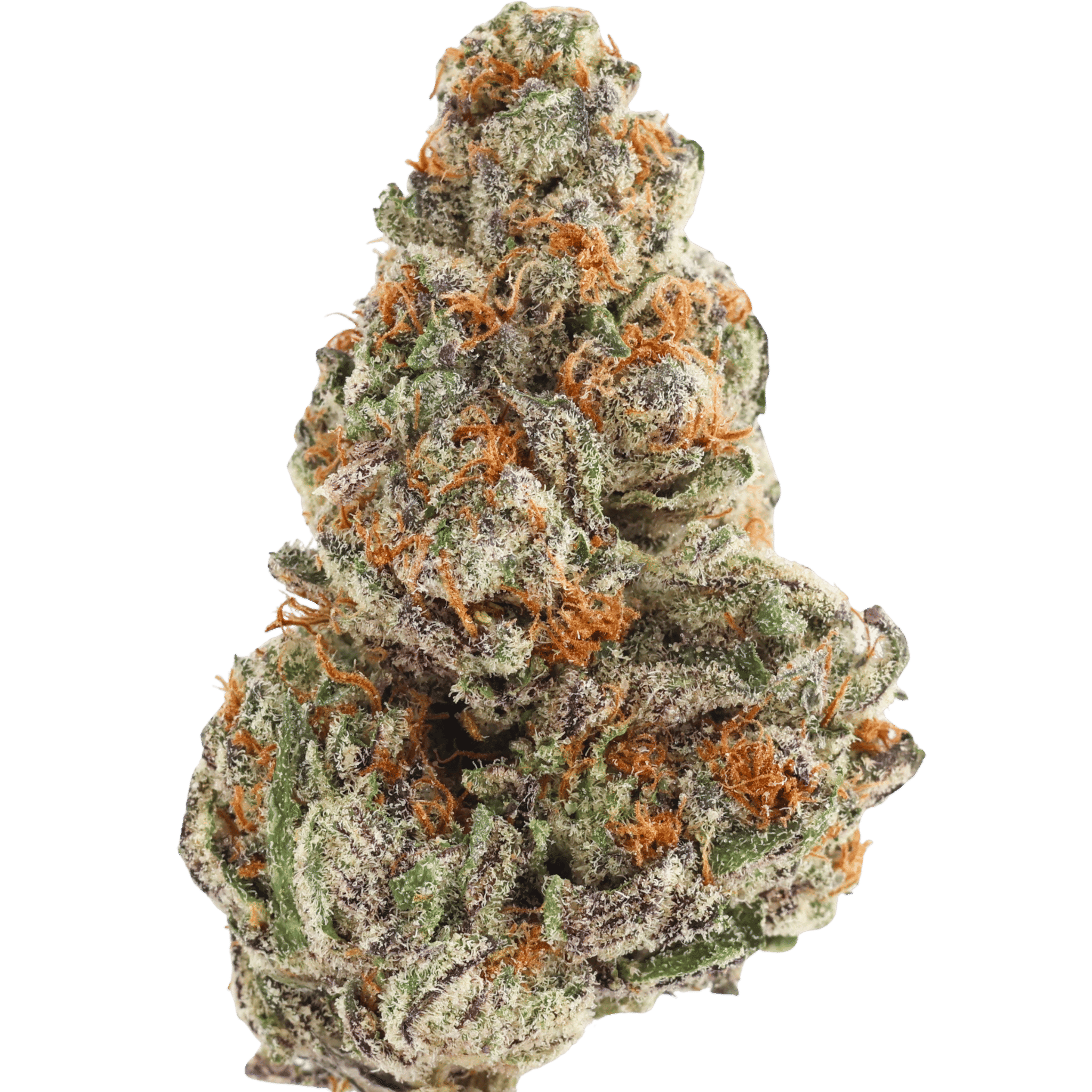 Hw - Strawberry Sherbert