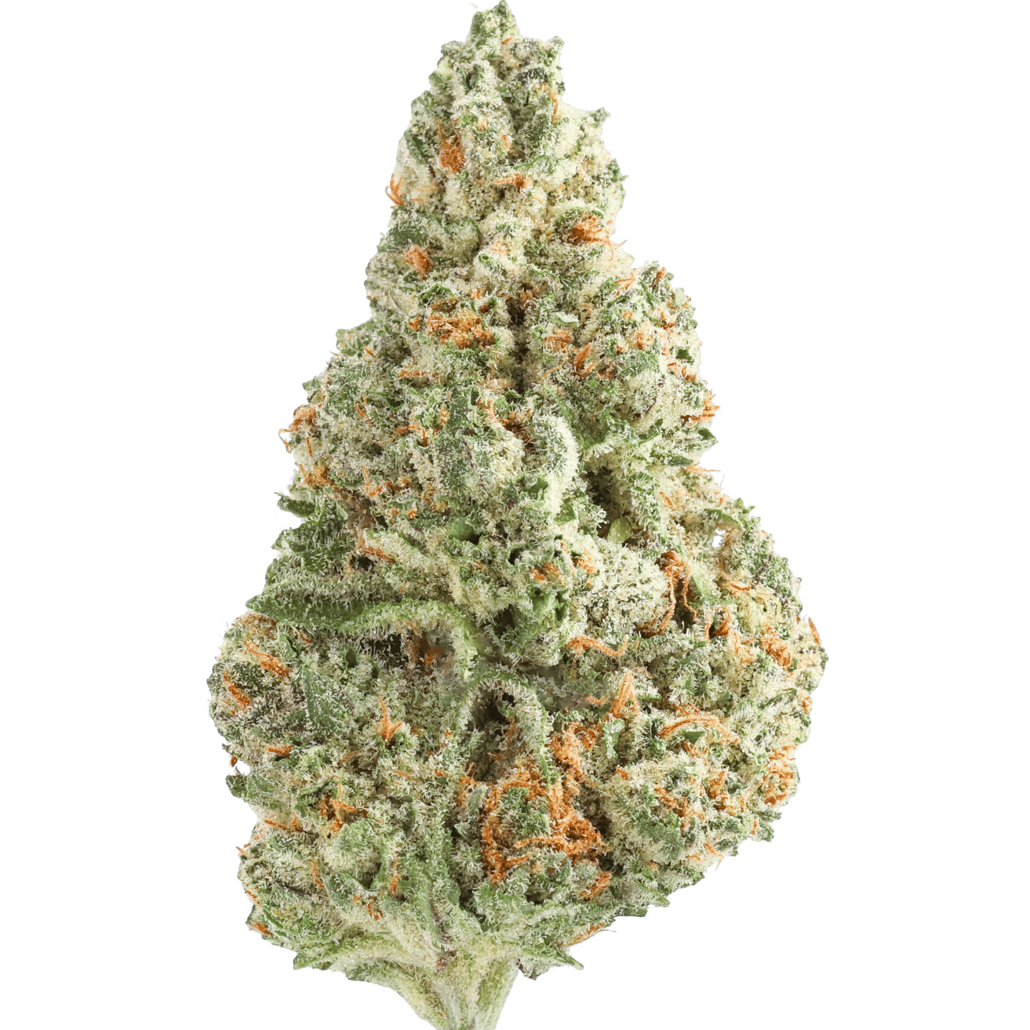 Mf - Cherry Cheesecake