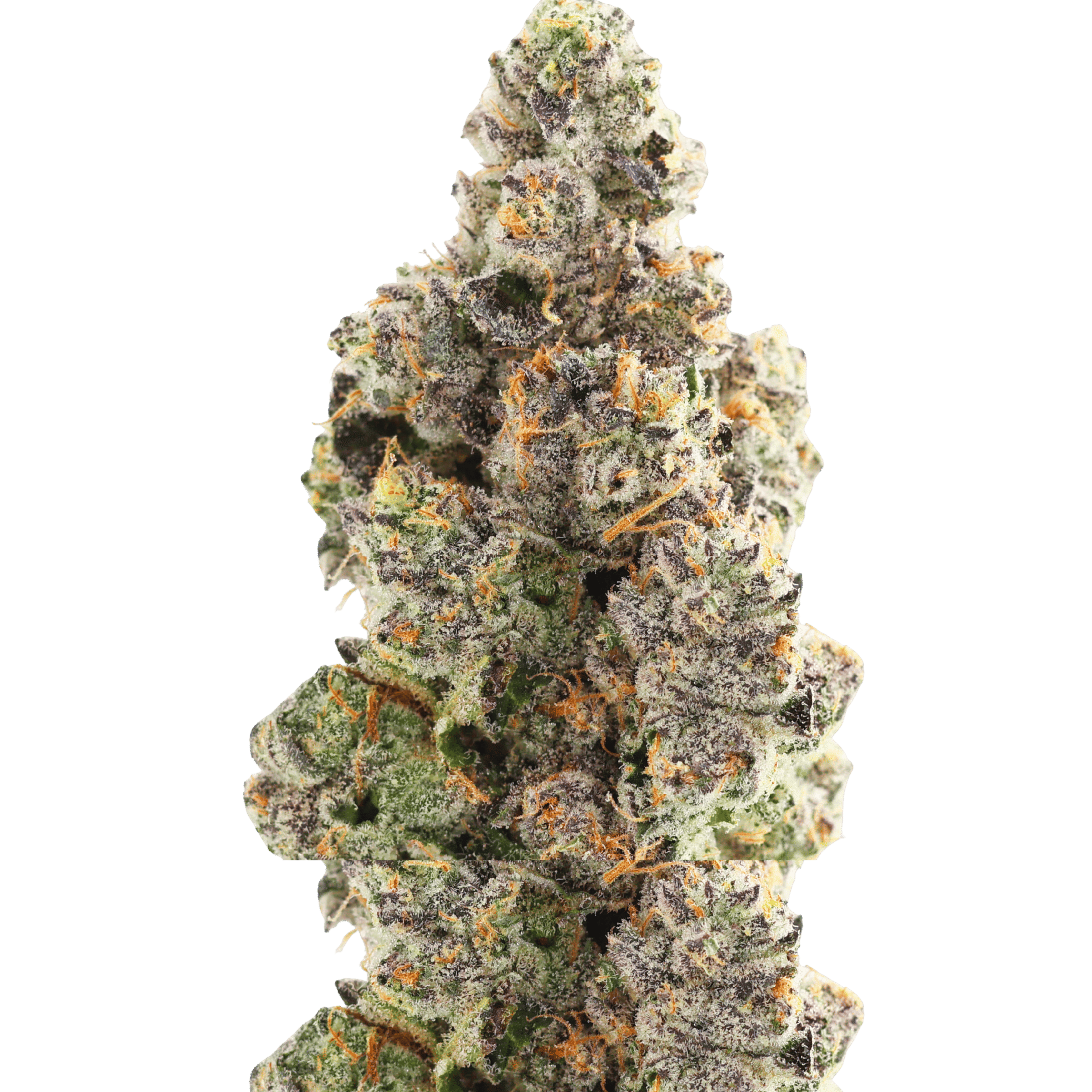 L13vllls - First Class OG