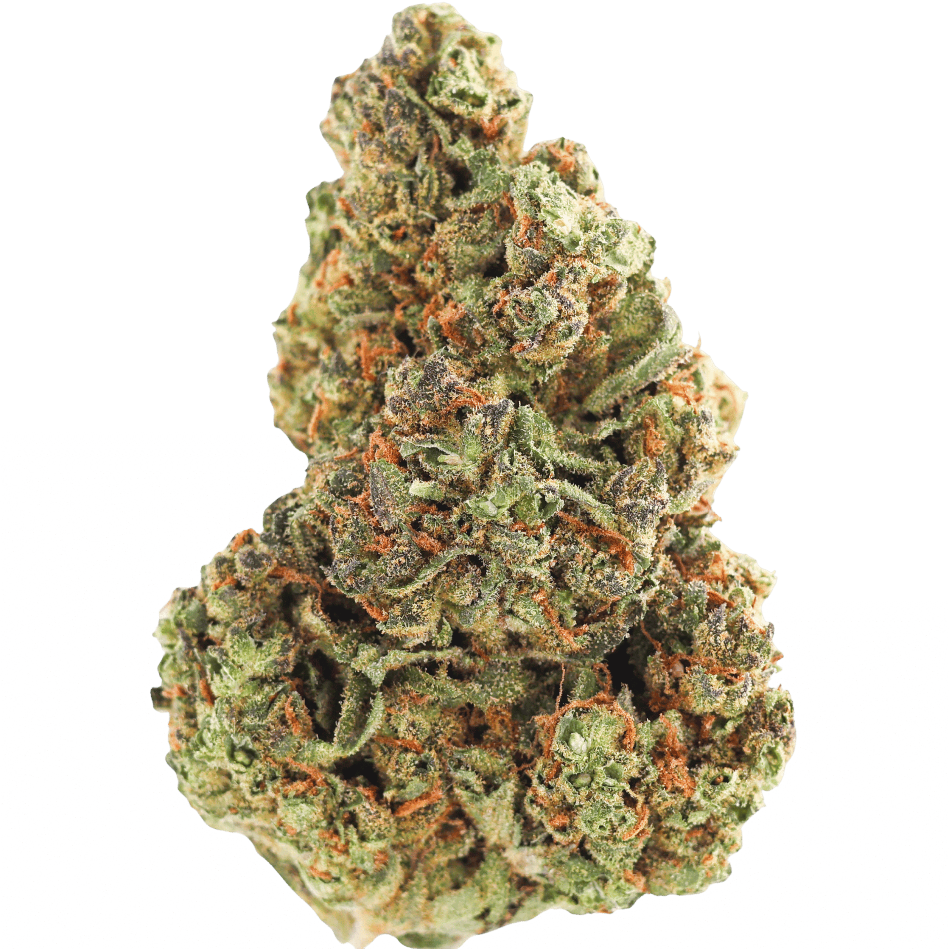 NCWBI - DURBAN POISON - 28 GRAMS