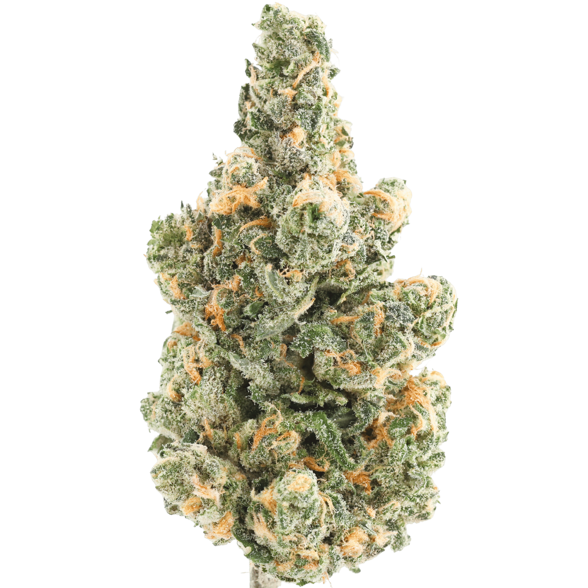 OXI - BLUE DREAM - 5 GRAMS
