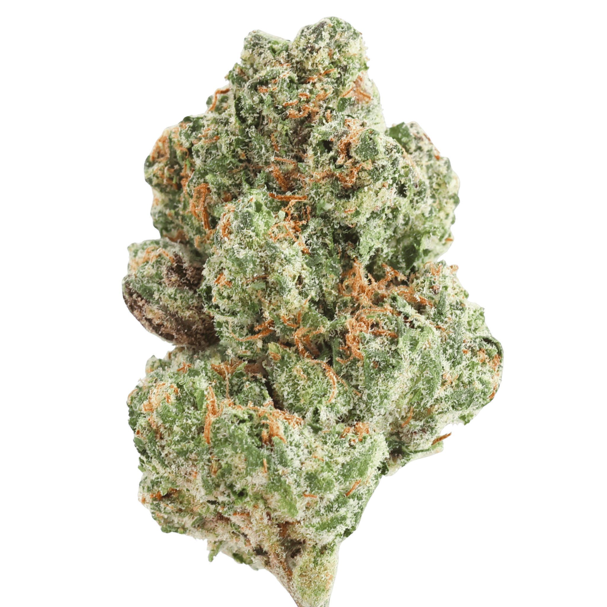 Gh Blueberry Kush