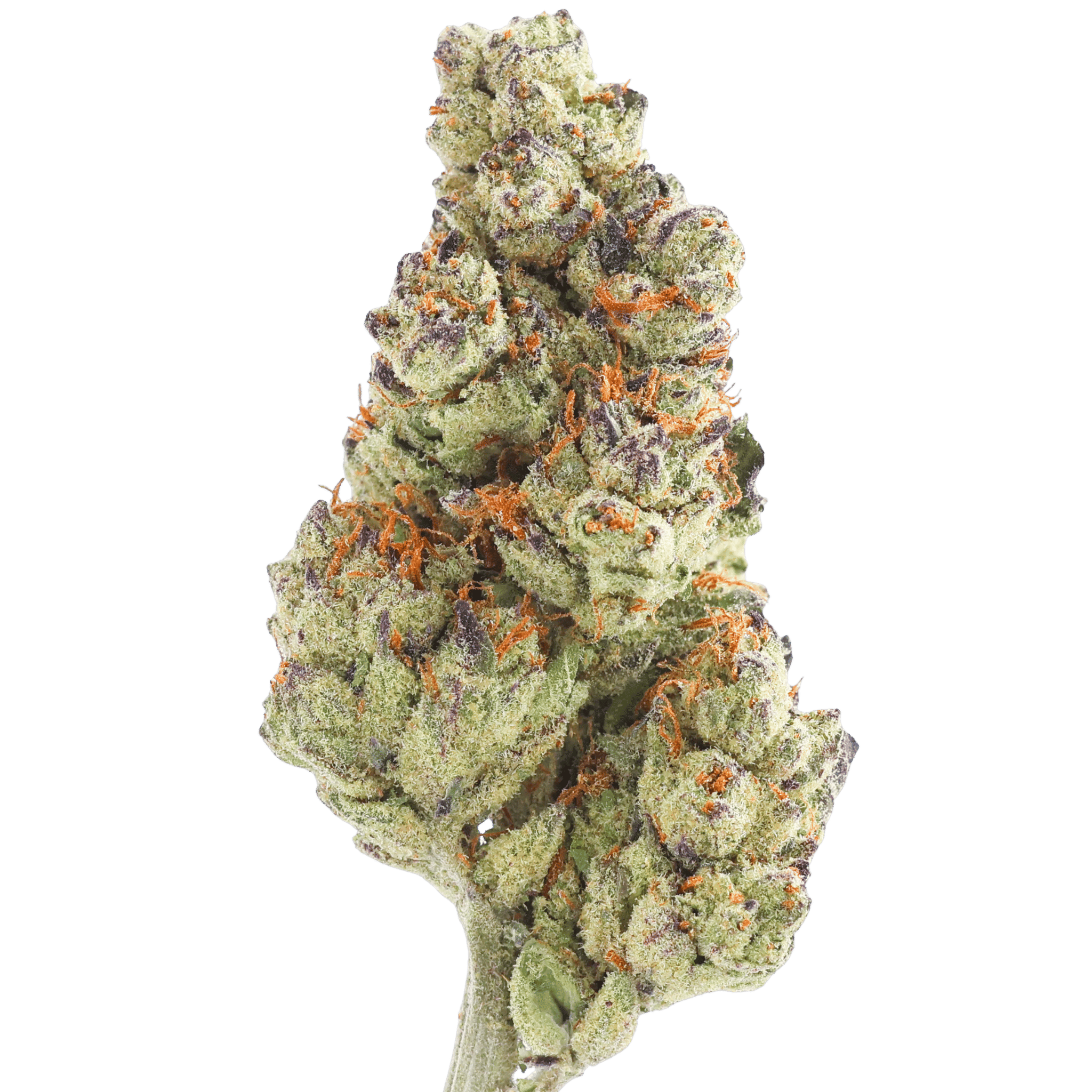 Mf Honey Berry