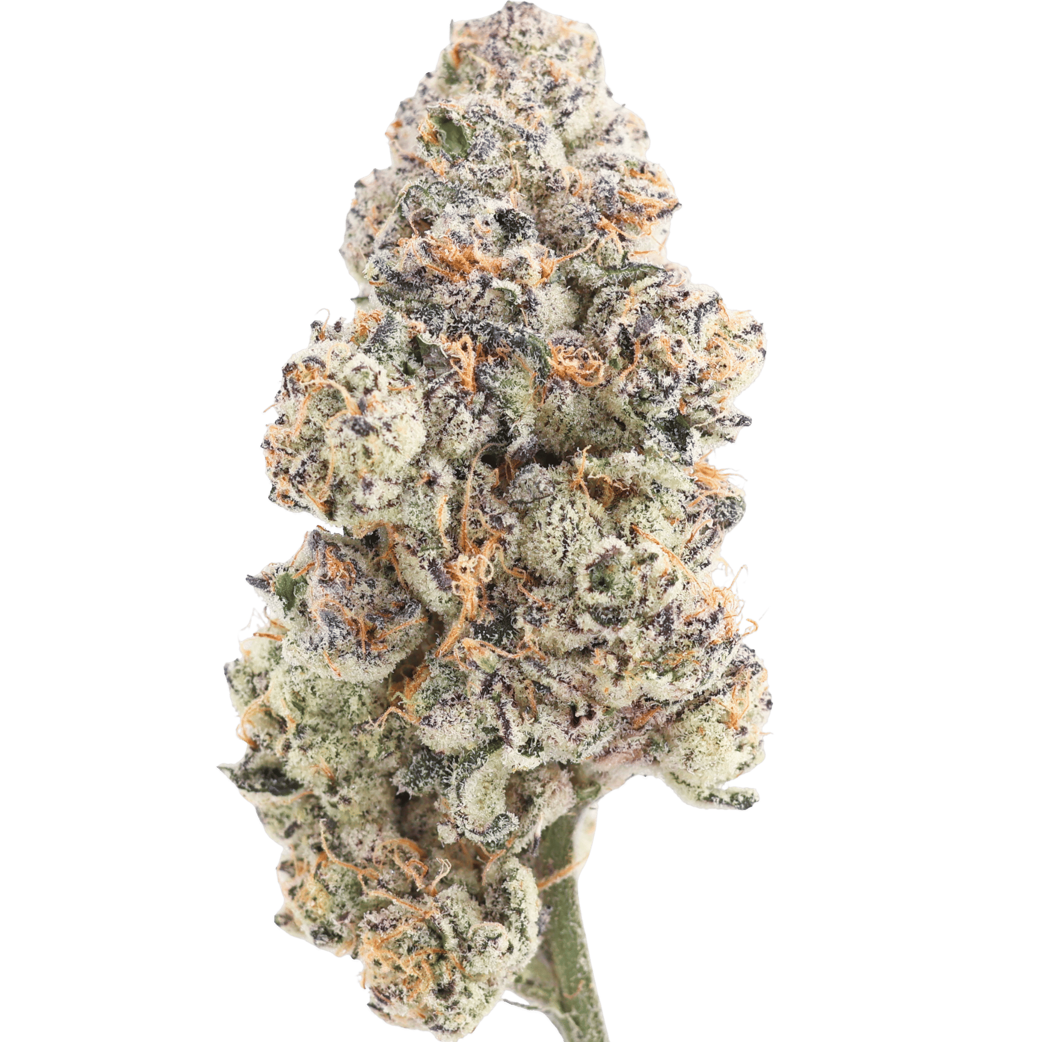 JE - DIAMOND POPZ - 5 GRAMS