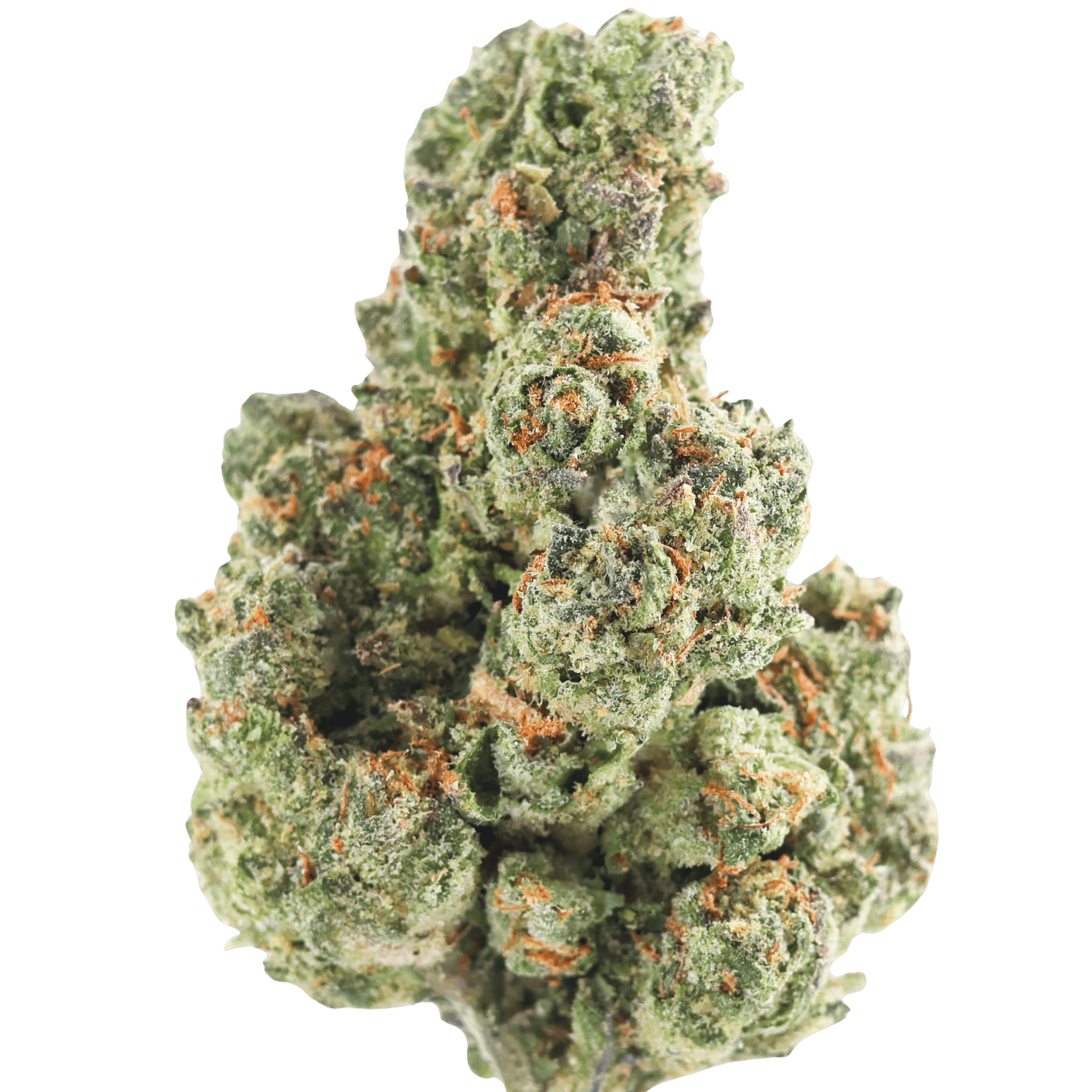 MF - BLACKBERRY CAVIAR - 2 GRAMS