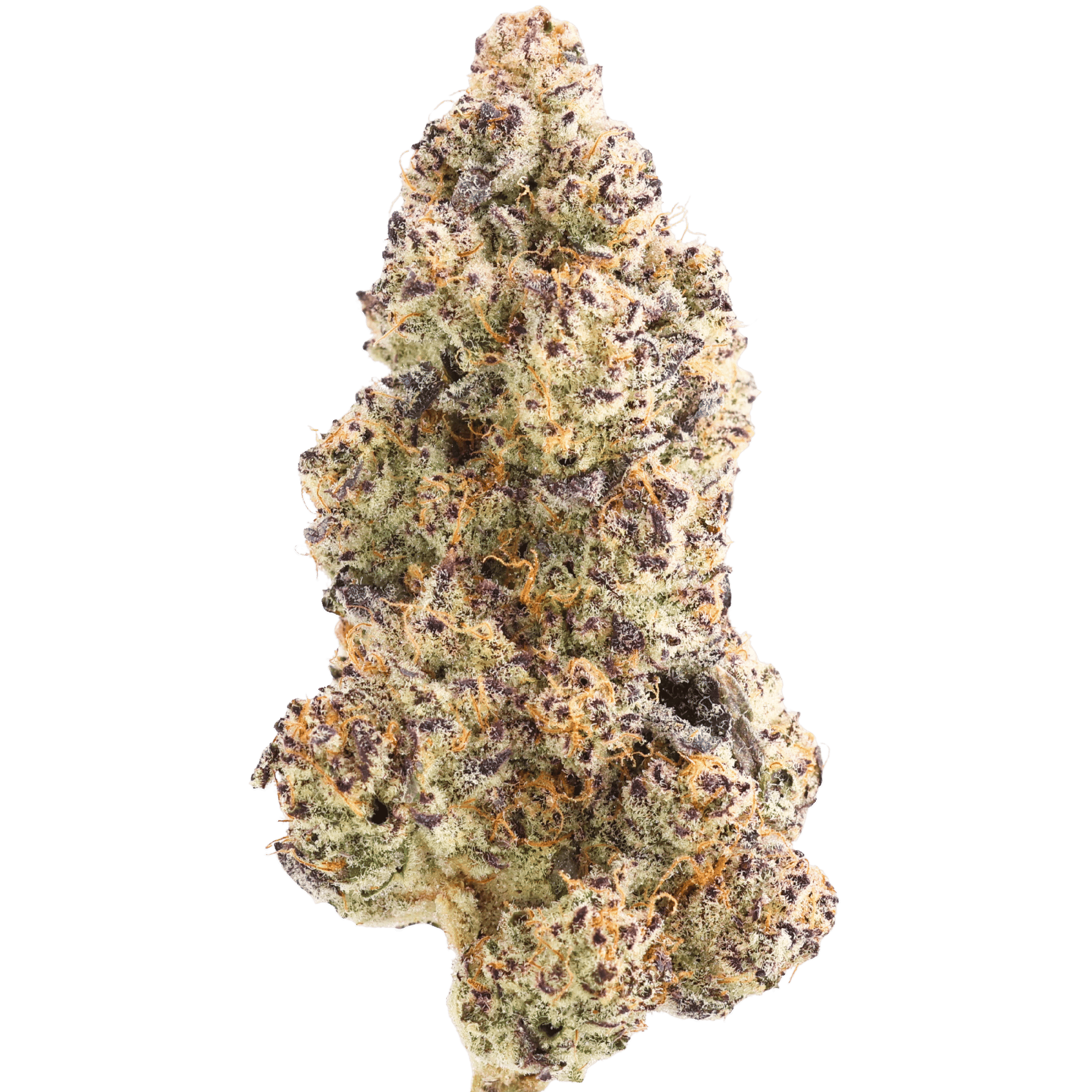 L13VLLLS - GOLDEN APPLEZ - 2 GRAMS