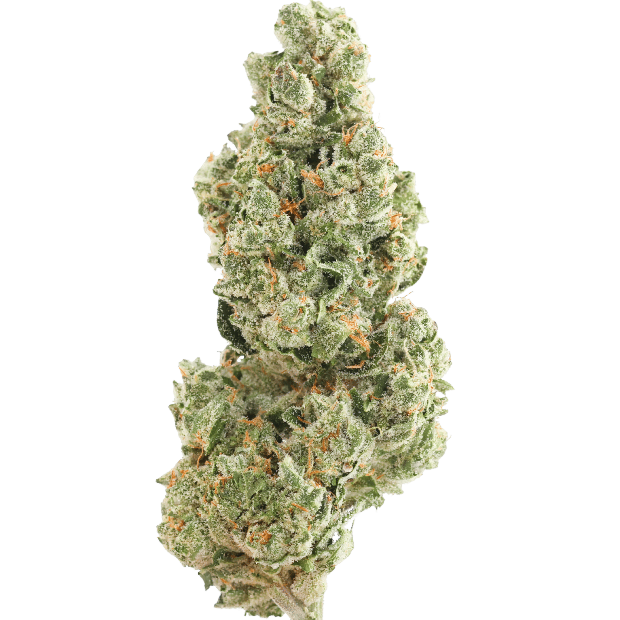 MF - BIG ROCK OG - 10 GRAMS