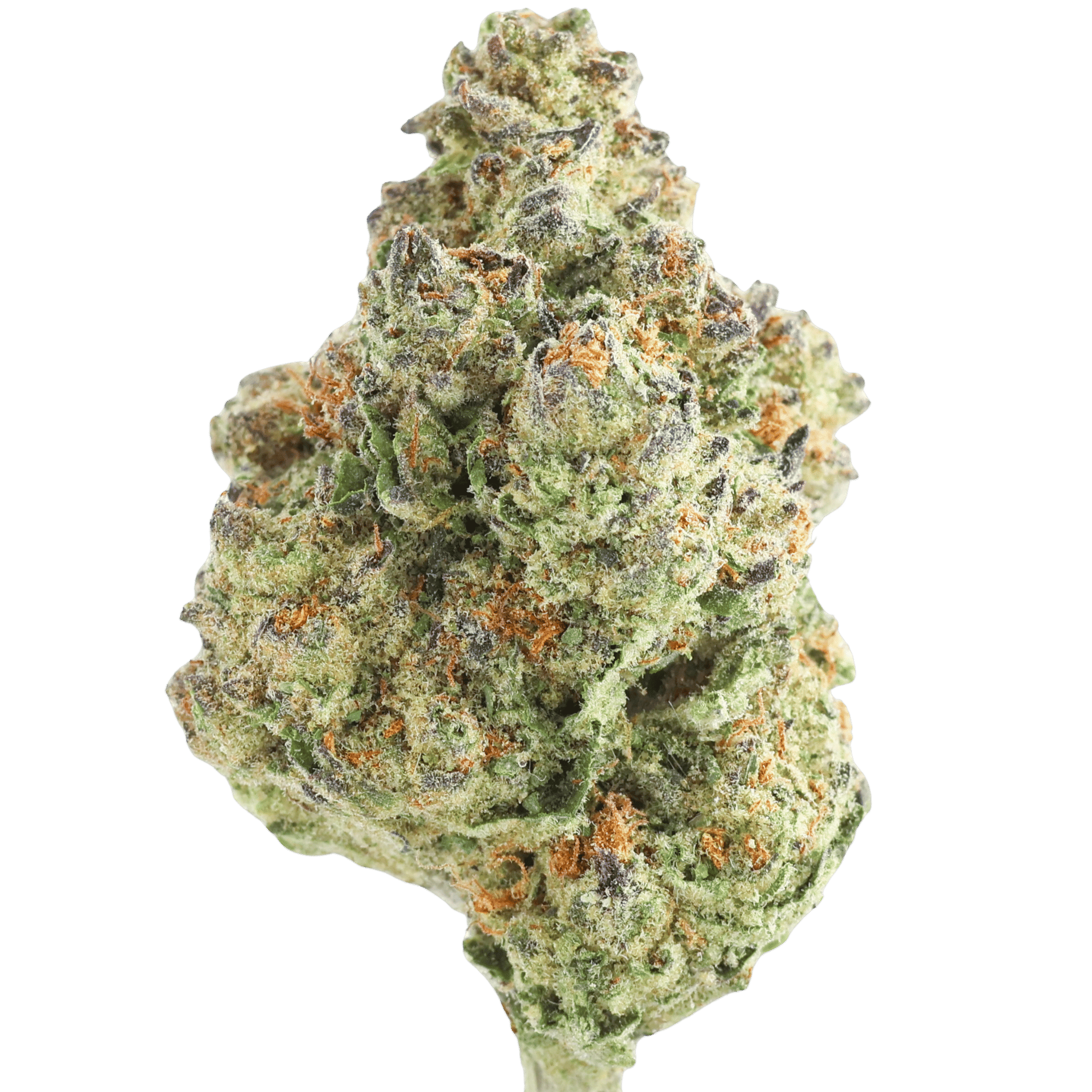 MF - WEDDING CAKE - 28 GRAMS