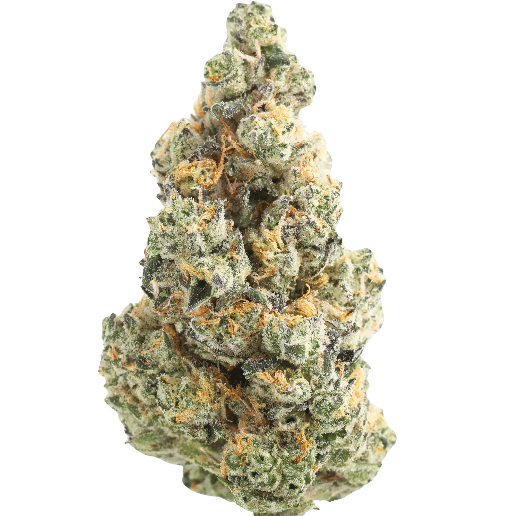 818B - GAS FACE - 5 GRAMS