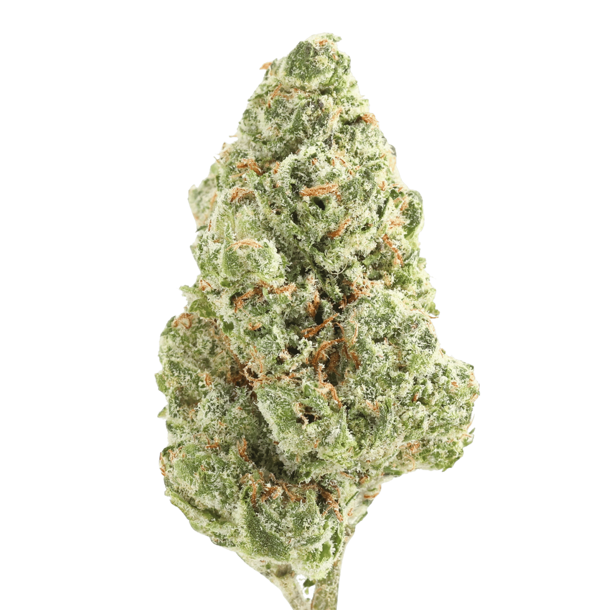 GH - GELATO 33 - 2 GRAMS