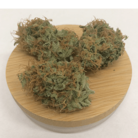 Dr. Grinspoon