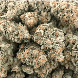 Critical Kush