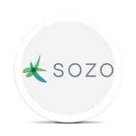 Sozo - Bulk Flower (Smalls) - Pineapple Express