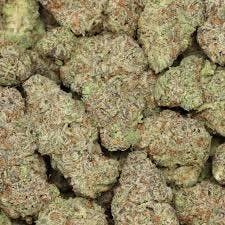 Sozo - Bulk Flower - High Society