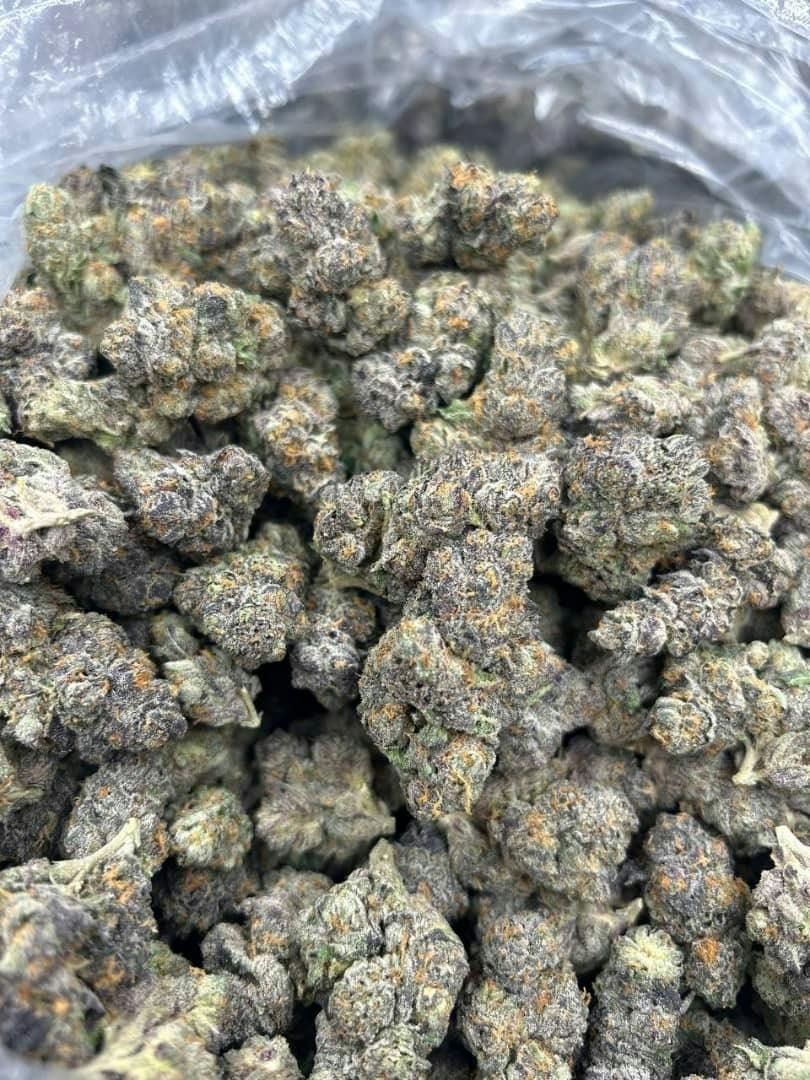 Sozo - Bulk Shake - Forbidden Fruit