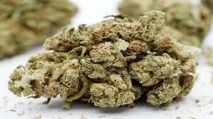 NTH FARMS - Bulk Flower - Lemon Cherry Gelato cannabis product