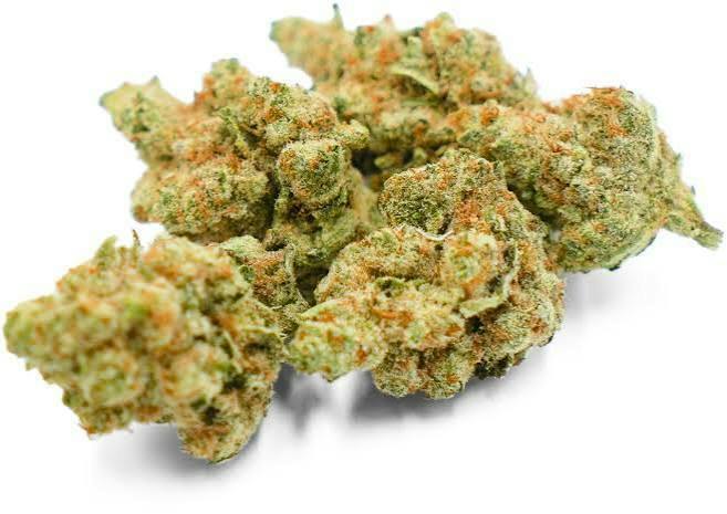 One Garden - Bulk Flower - Zkedaddle