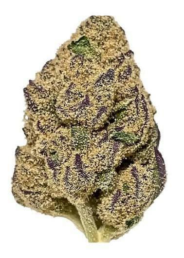 Westfield Group - Bulk Flower - E85 x Runtz