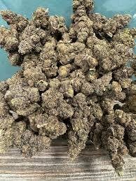 One Garden - Bulk Flower - Kenny Flowers