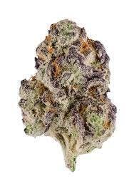 Sozo - Bulk Flower - Moby Dick #2