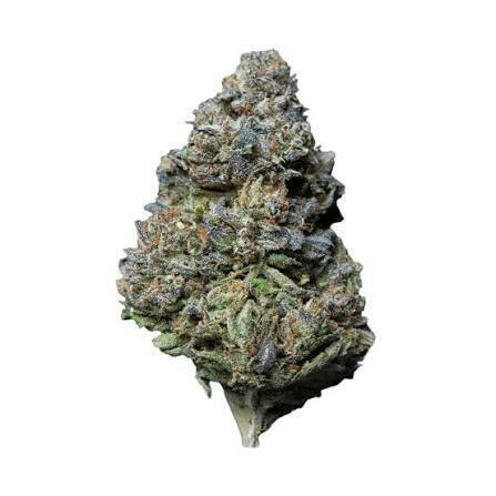 NTH Farms - Bulk Flower - White Truffle