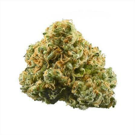 One Garden - Bulk Flower - Pineapple Express