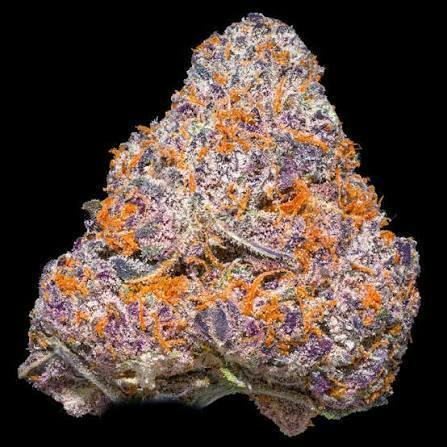 Tru Smoke - Bulk Flower - Pie Scream 27