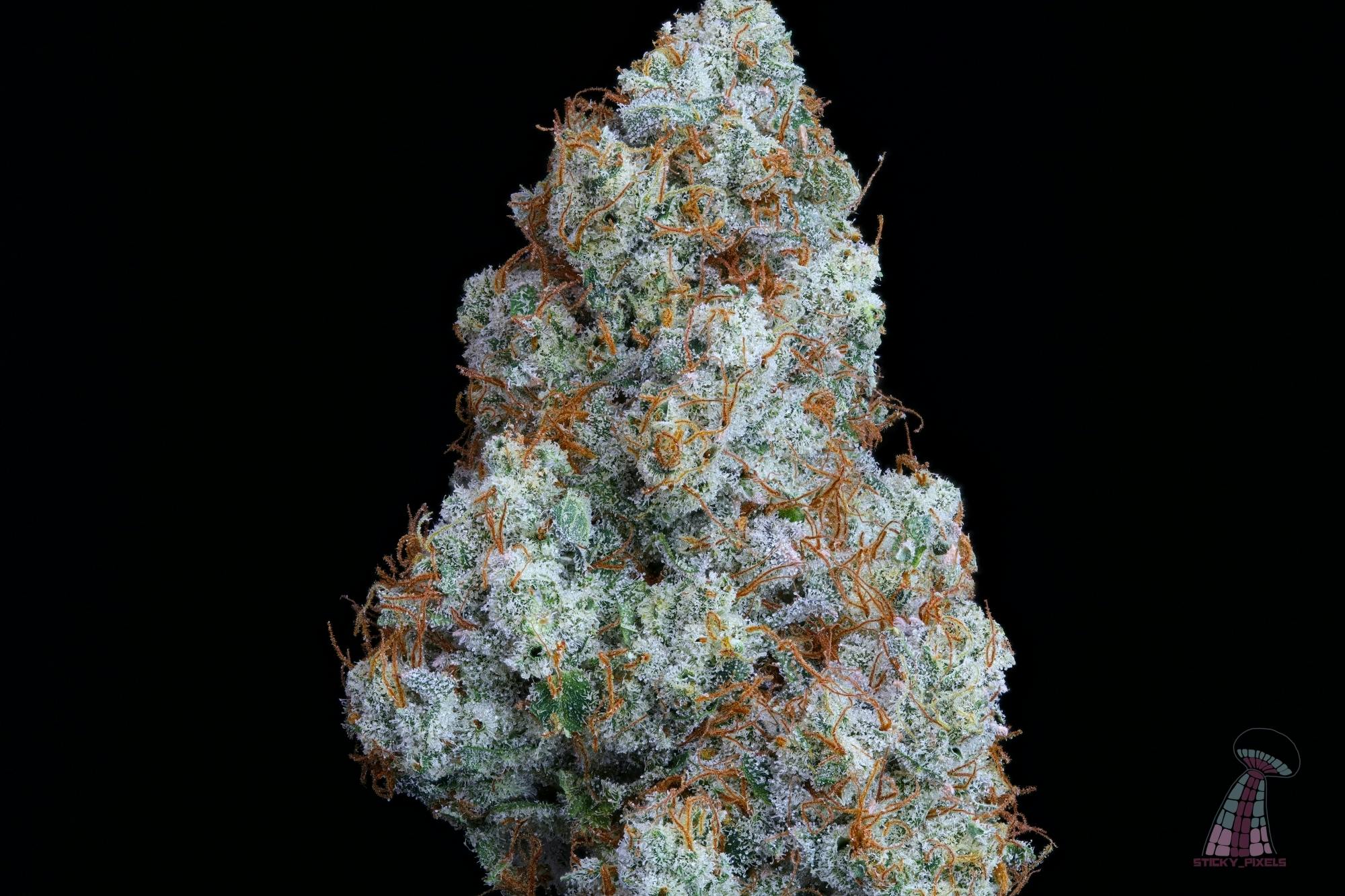 Lemon Cleaner - IH - 7G Shake - Kaya